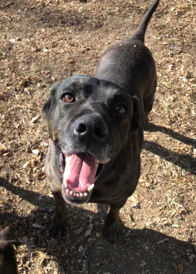 Abbott & Gambet - LAFAYETTE, IN