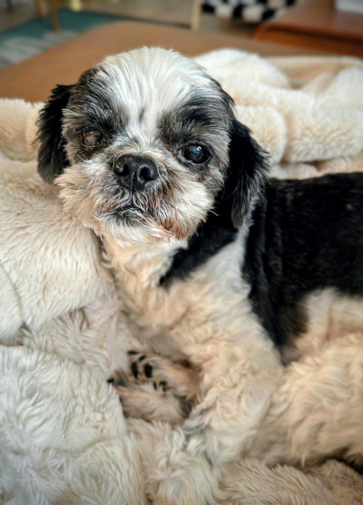 Also (Alonzo) — thumbnail 2