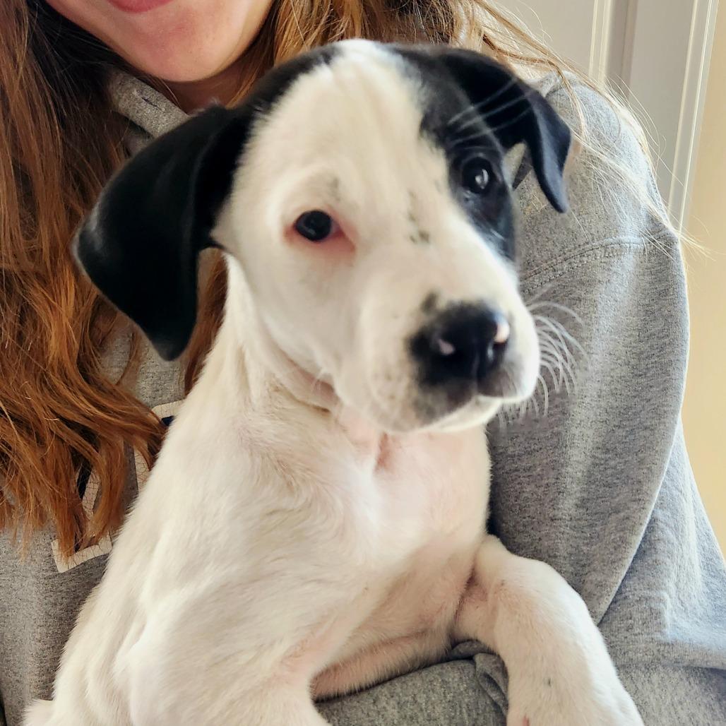 Peach — thumbnail 2