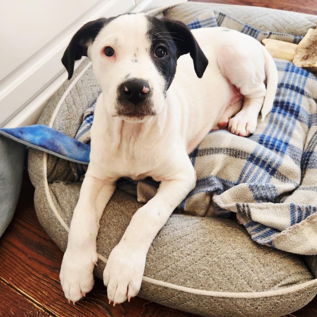 Peach — thumbnail 5