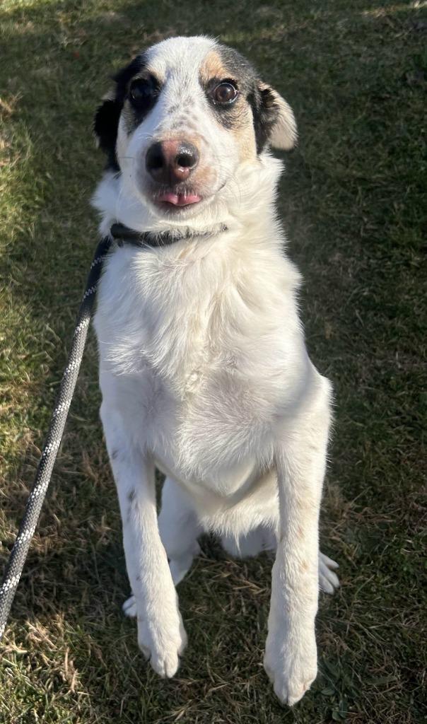 Ghost Face thumbnail 2