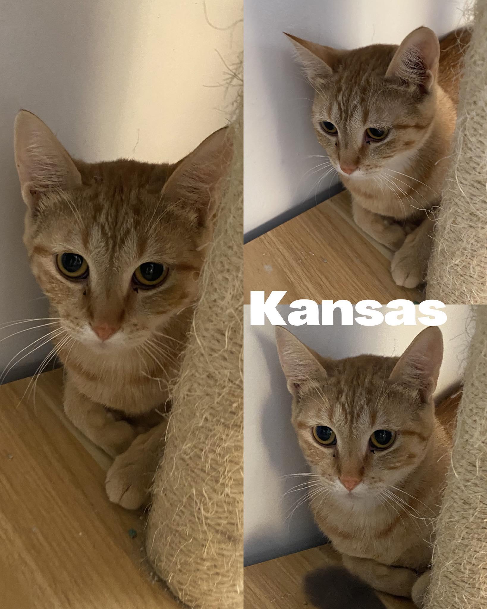 Kansas
