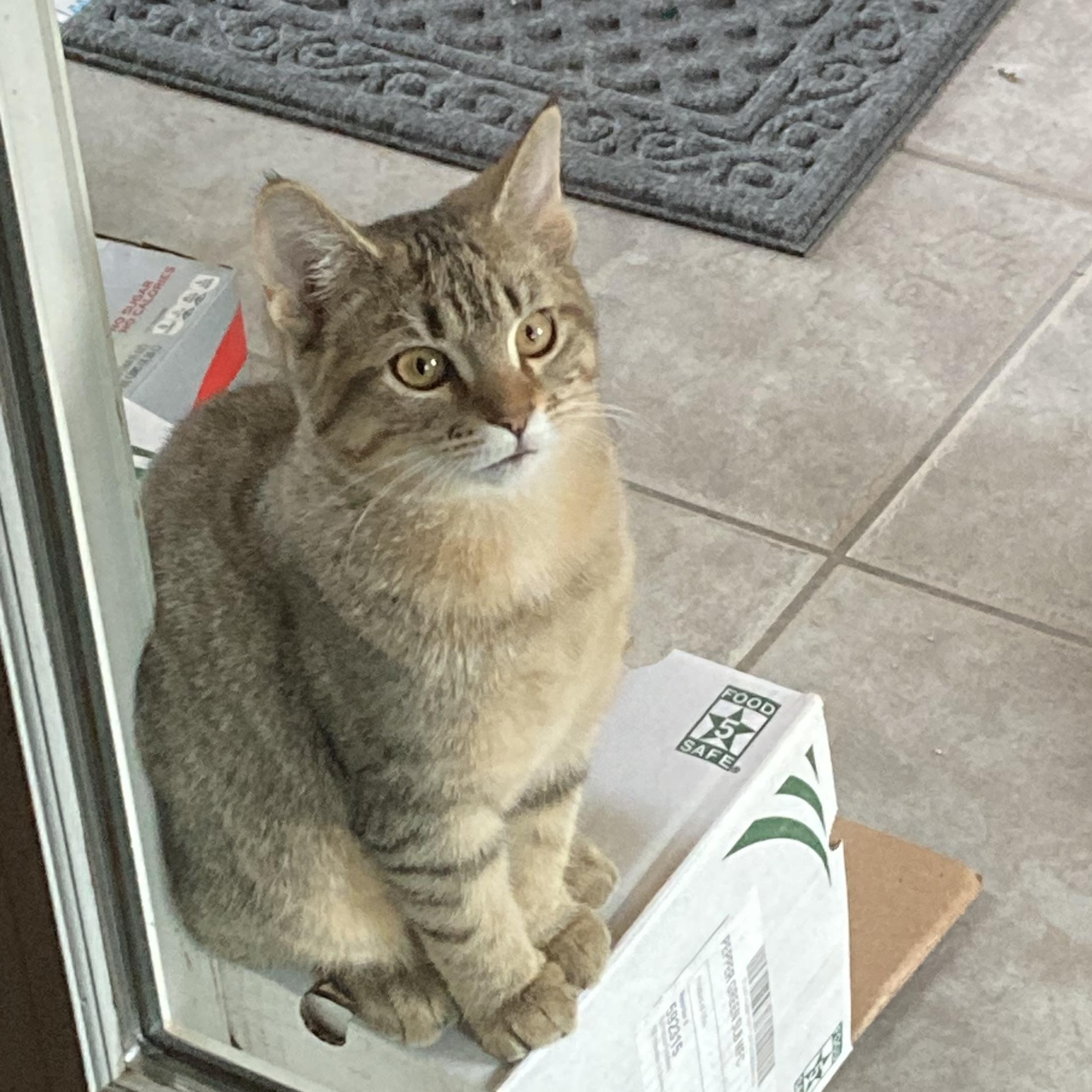 Coco