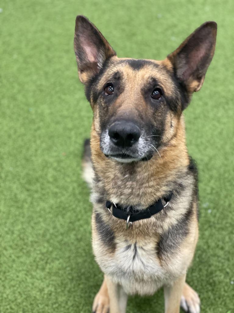 Criminal Justice thumbnail 3