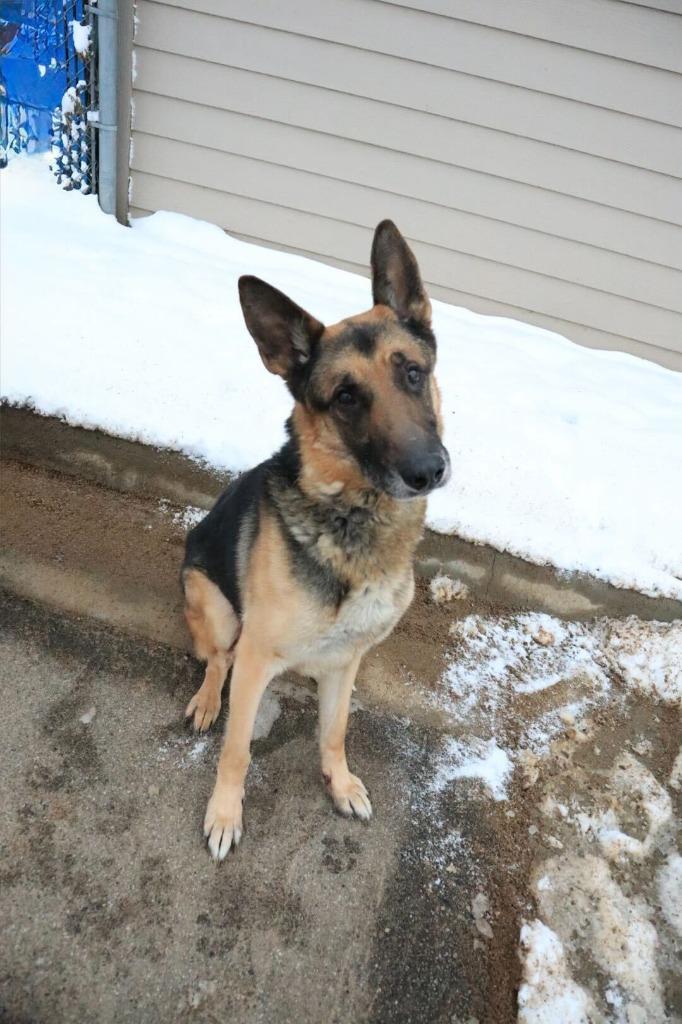 Criminal Justice thumbnail 4