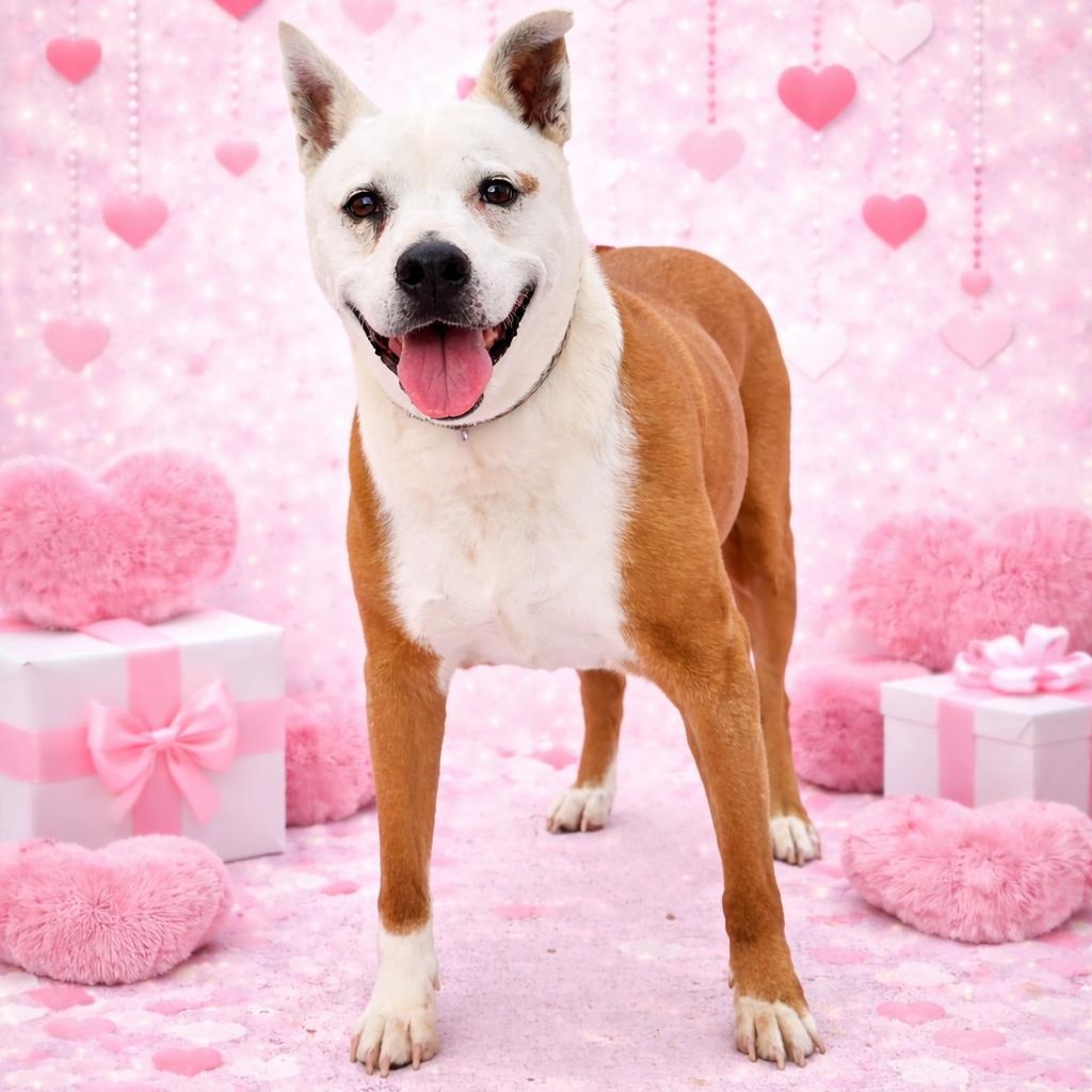 *Soldier — thumbnail 3