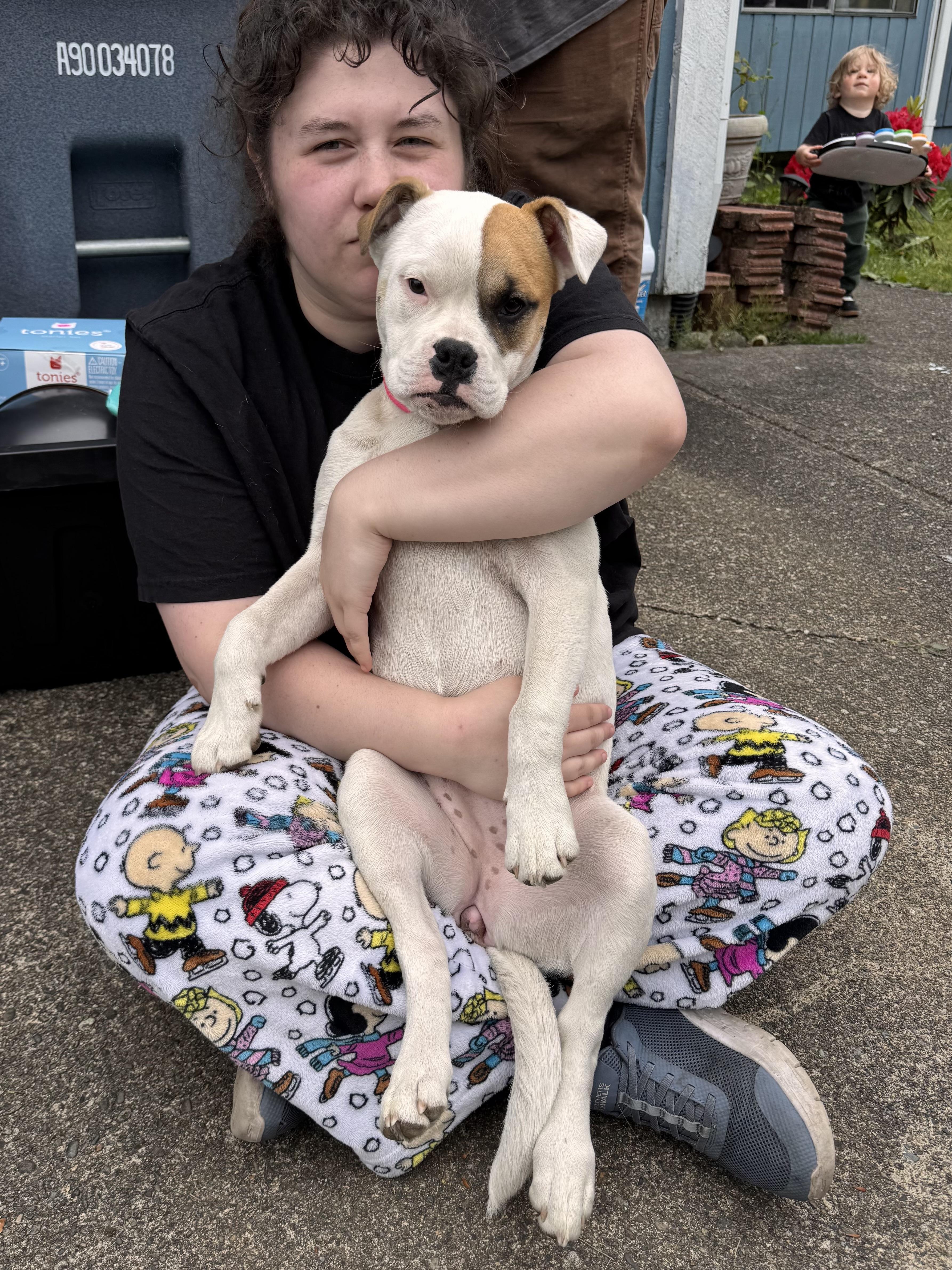 Enlarge Sunflower, a Adoptable mixed breed in Auburn, WA image 4/6