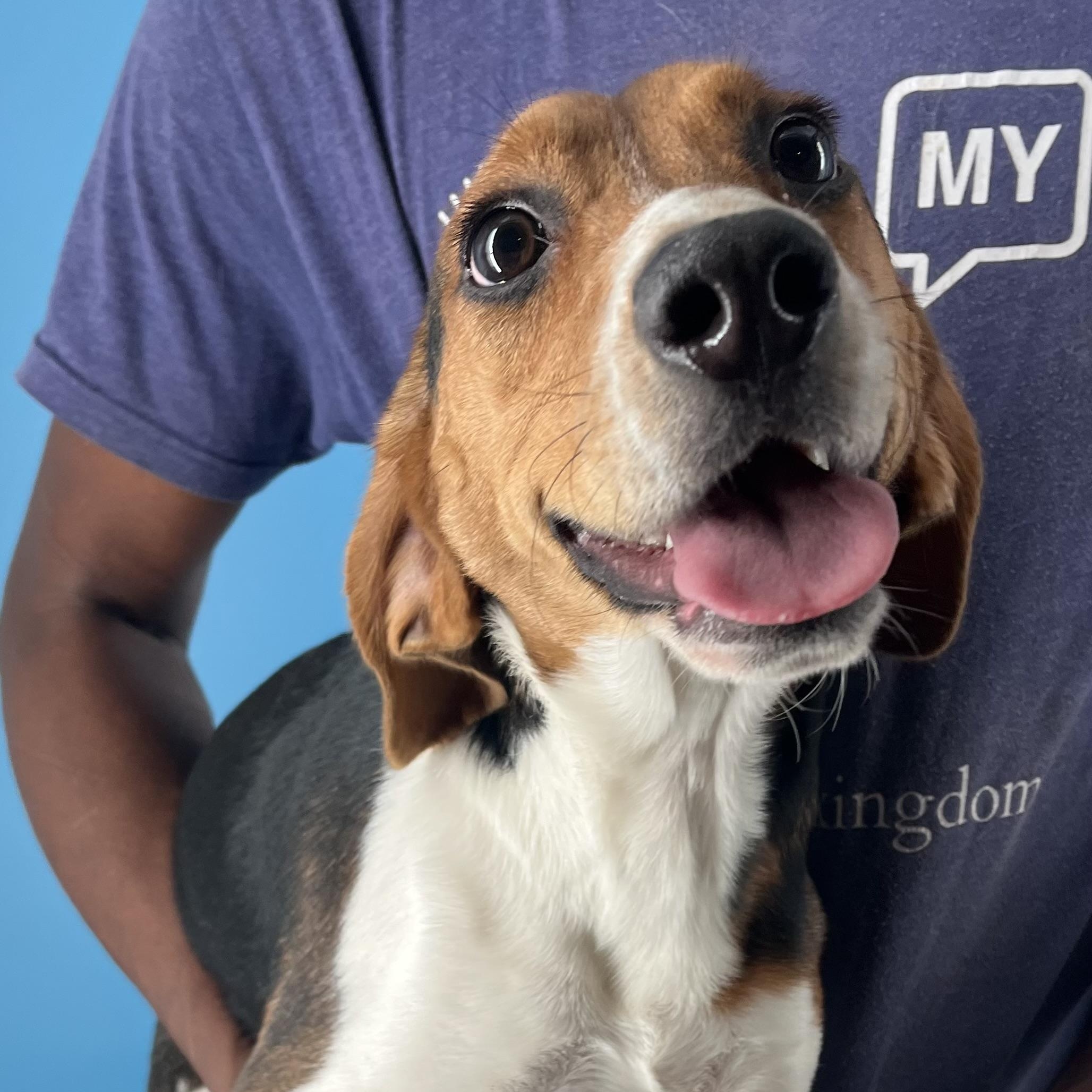 Happy  Local Dec thumbnail 3