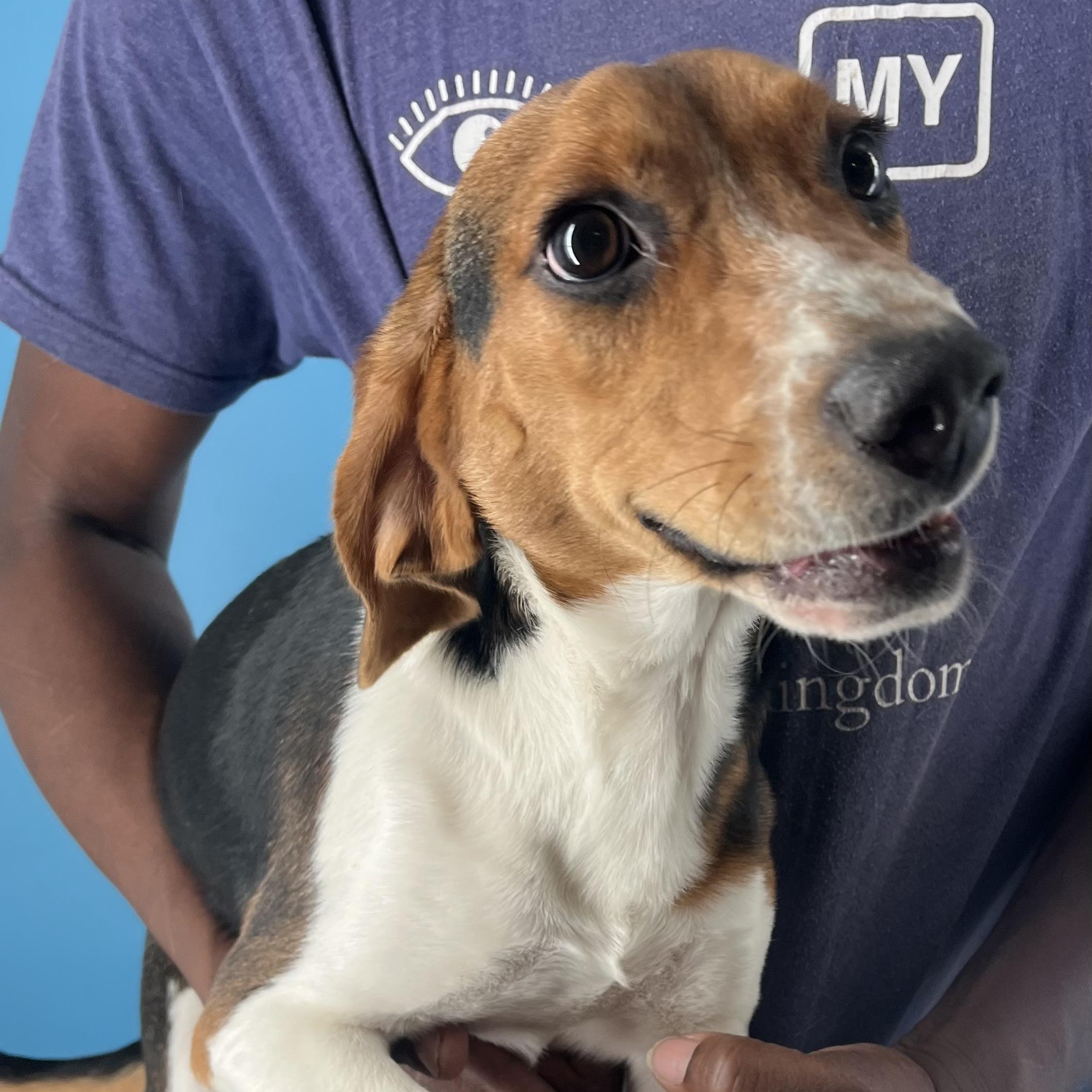 Happy  Local Dec thumbnail 5