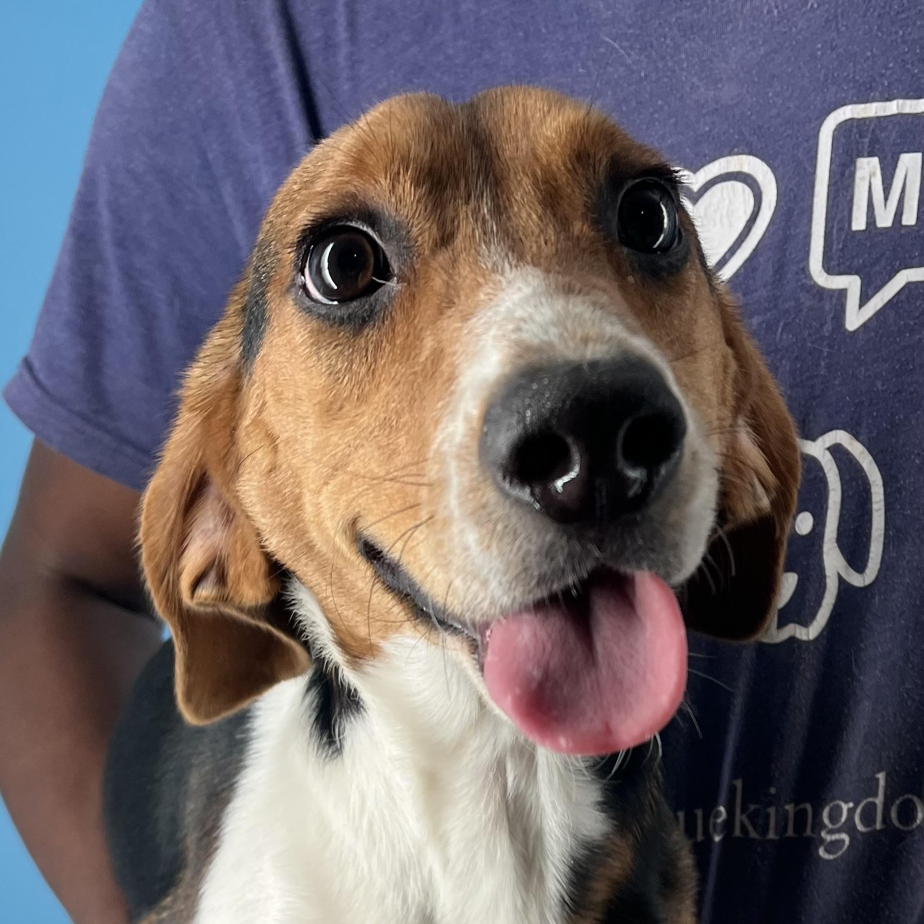 Happy  Local Dec thumbnail 2