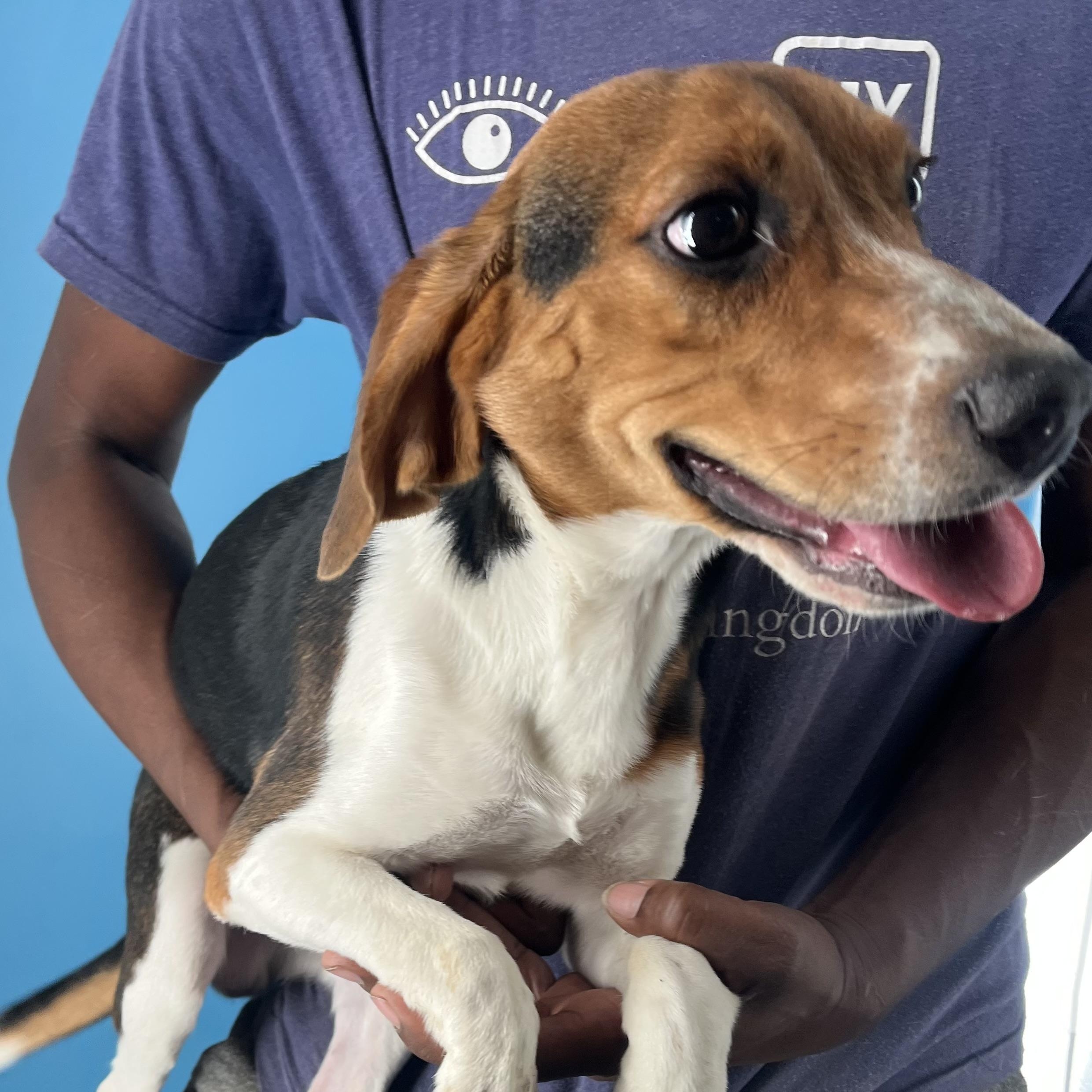 Happy  Local Dec thumbnail 4