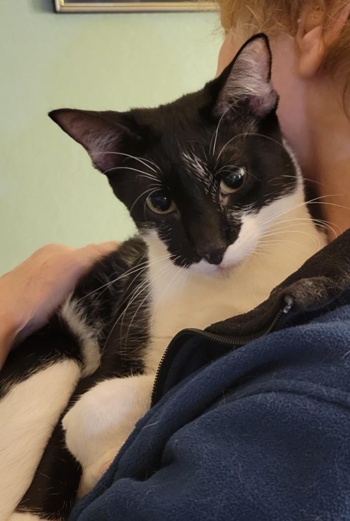 Raksha — thumbnail 3