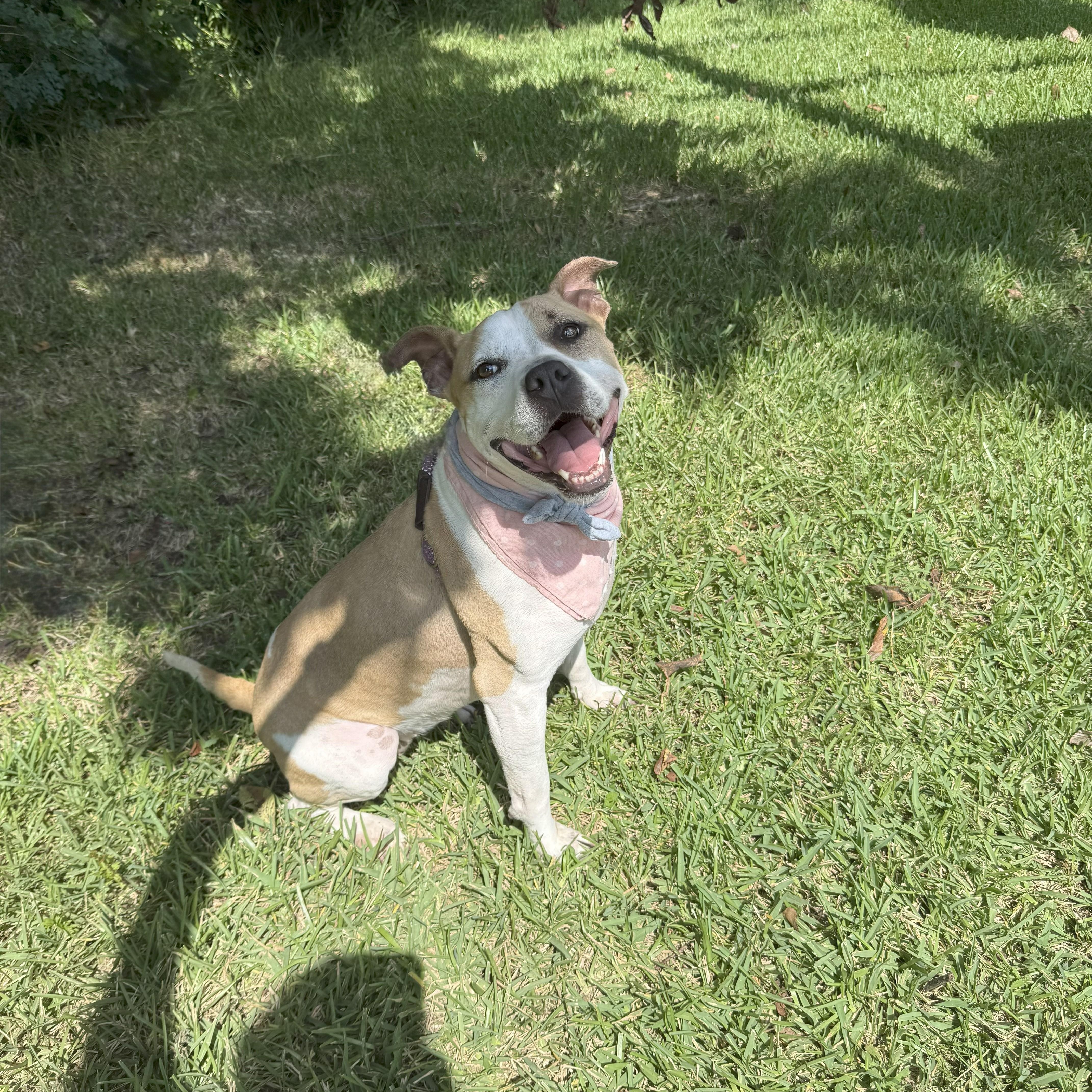 Volleyball — thumbnail 3