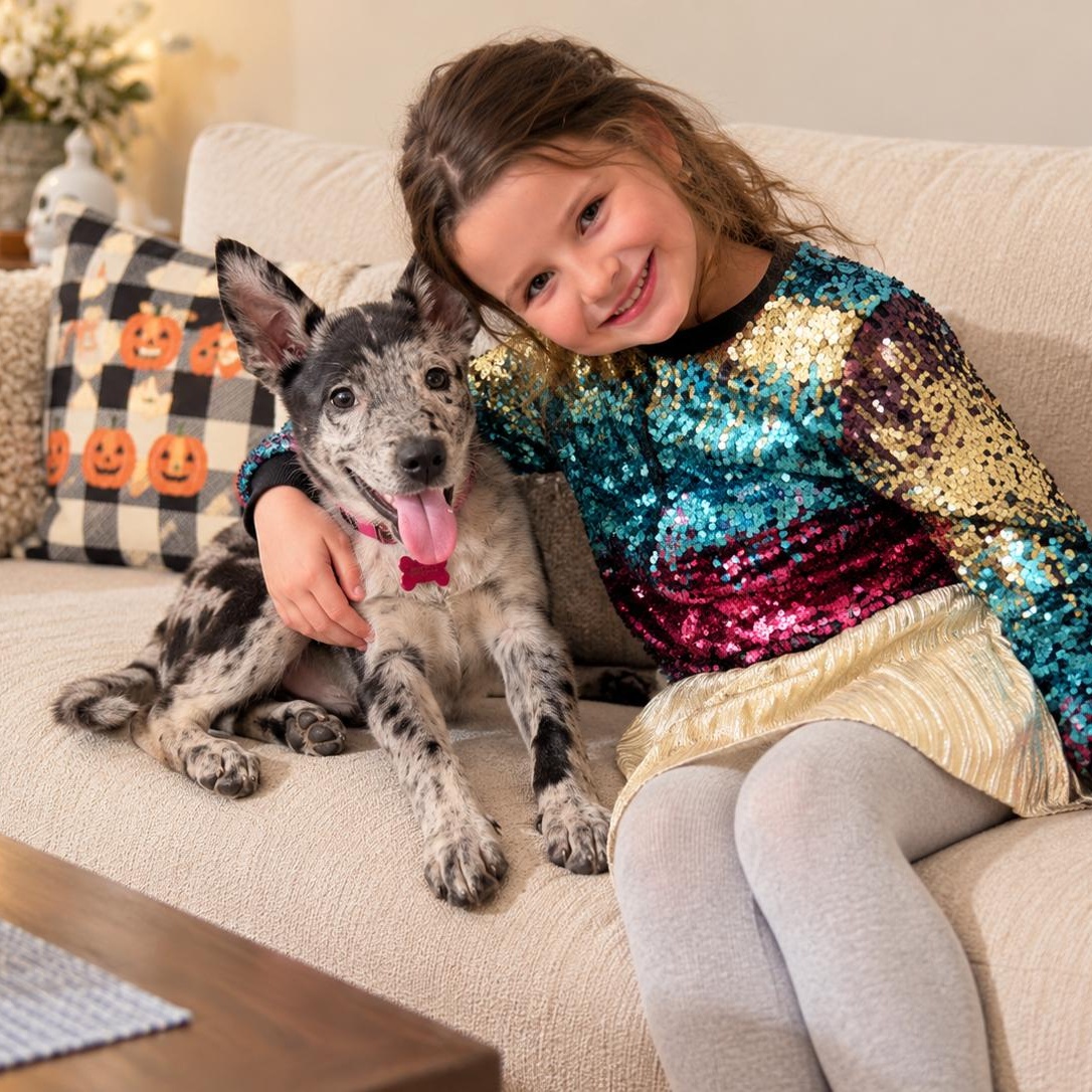 Enlarge Roxy - Tiny Sweet Little Girl, Cute Personality, Cuddle Bug (Fostered in Framingham, MA), a Adoptable mixed breed in Cambridge, MA image 5/5