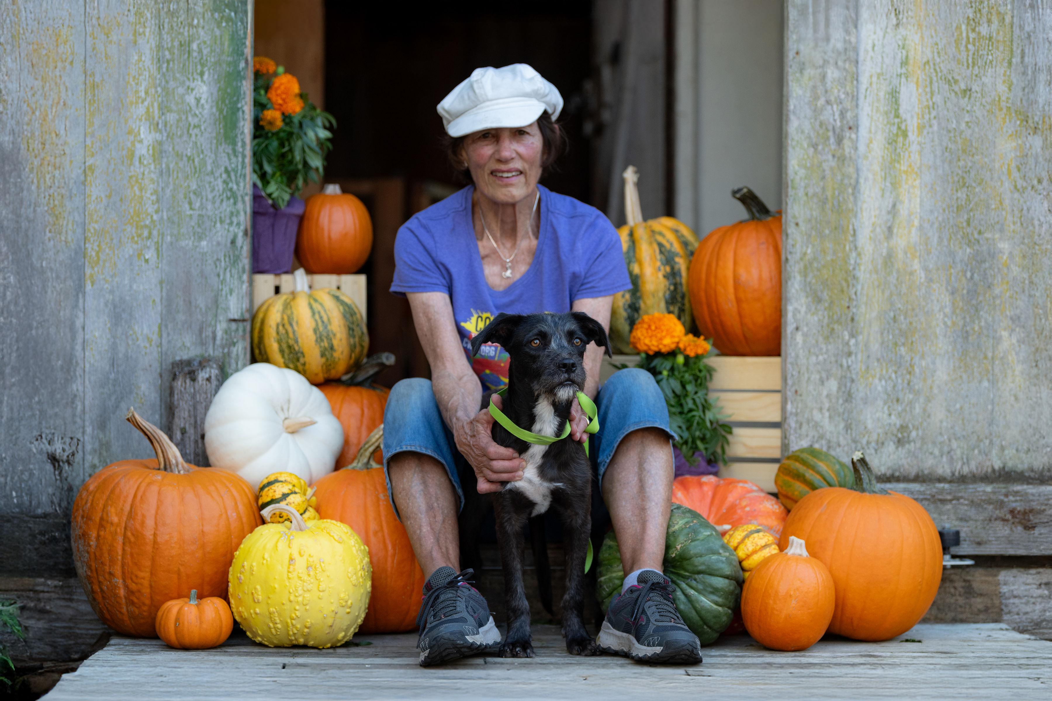 Tinky, a Adoptable mixed breed in Santa Rosa, CA image 3/5