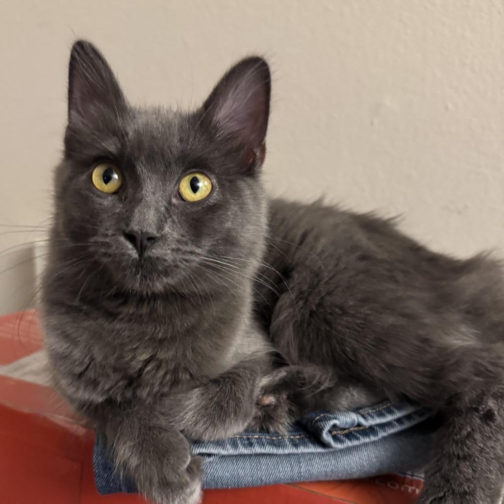 Crackers — thumbnail 2