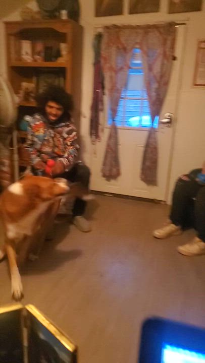 Enlarge Red, a Adoptable mixed breed in Campton, KY video 6/6