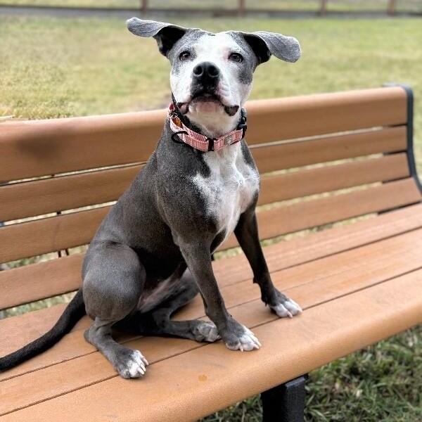 Daisy Adventure Pal — thumbnail 5