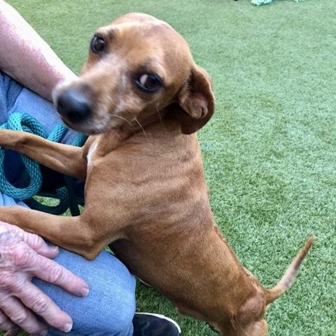 Danny and Wally — thumbnail 3