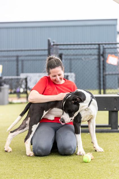 Vinnie — thumbnail 3