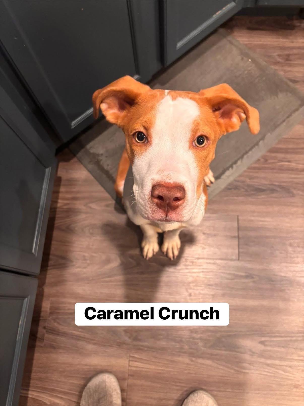 Caramel Crunch
