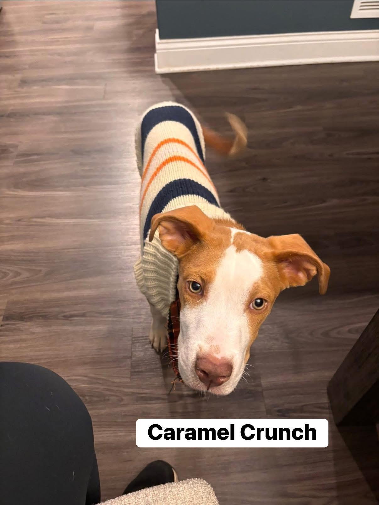 Caramel Crunch — thumbnail 6