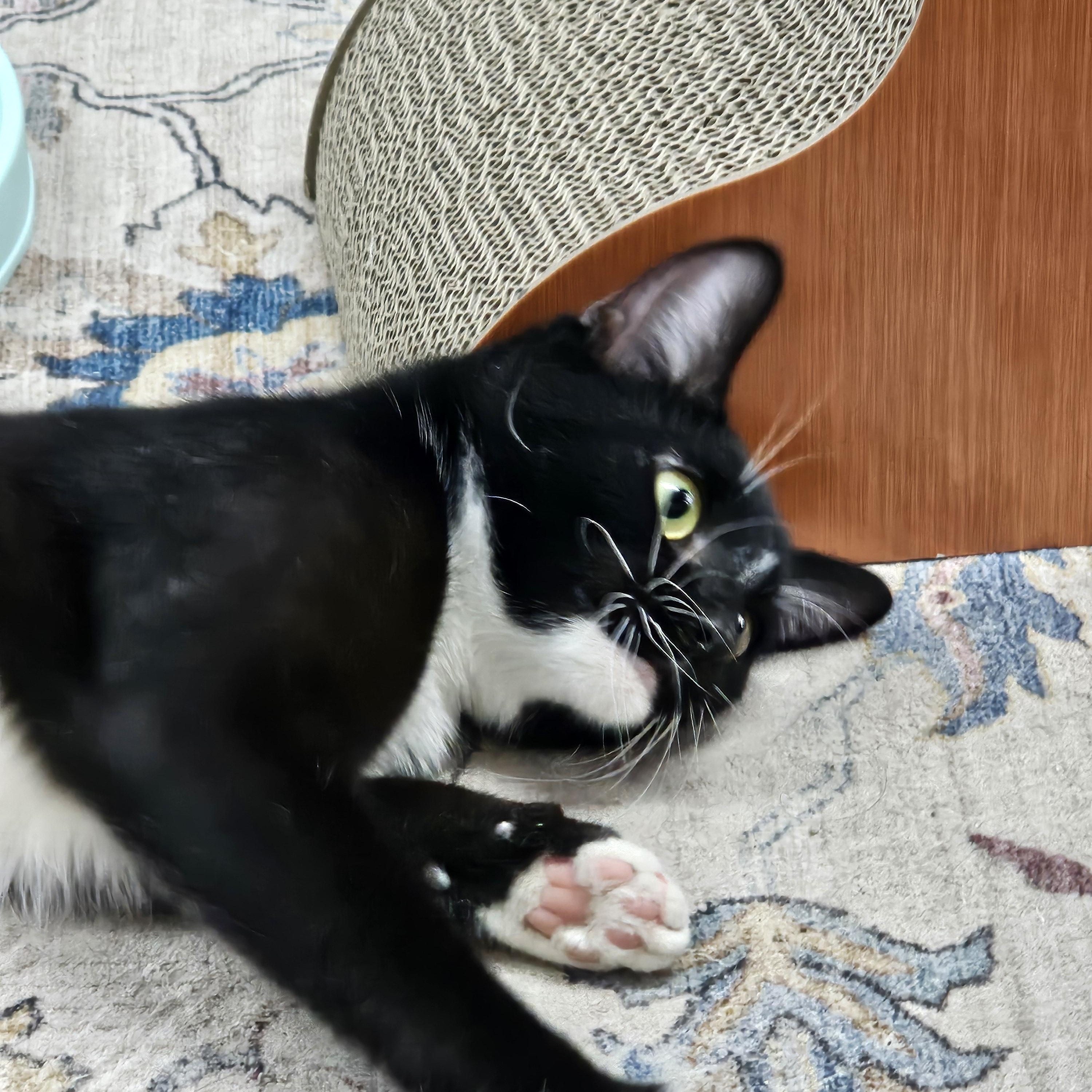 Betty Jean — thumbnail 2