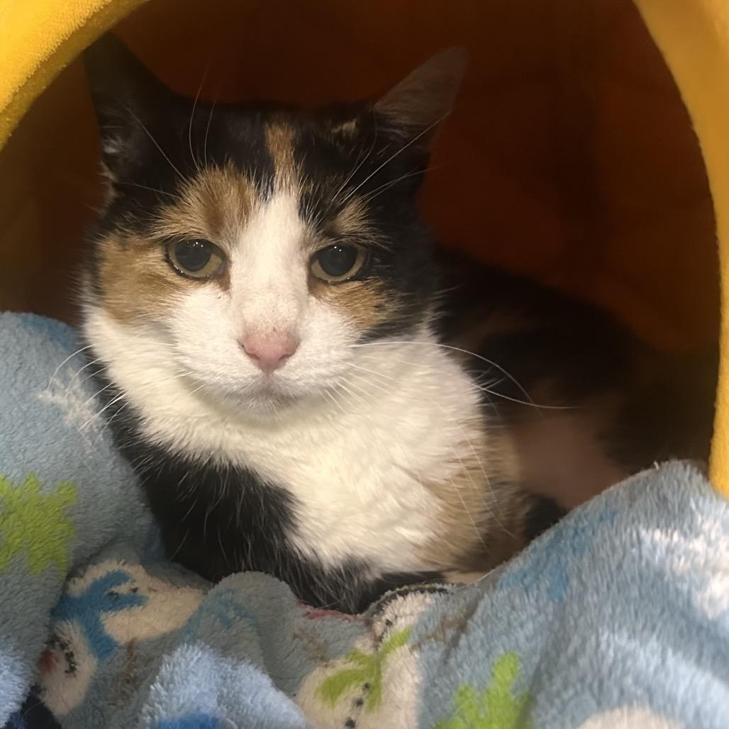 KayKay — thumbnail 4