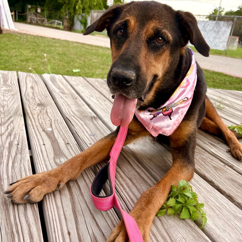 Funshine Bear thumbnail 2