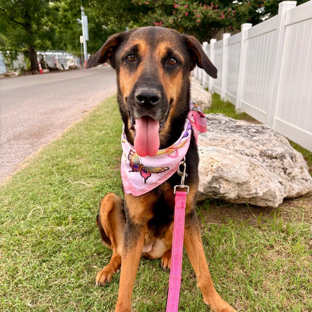 Funshine Bear thumbnail 3