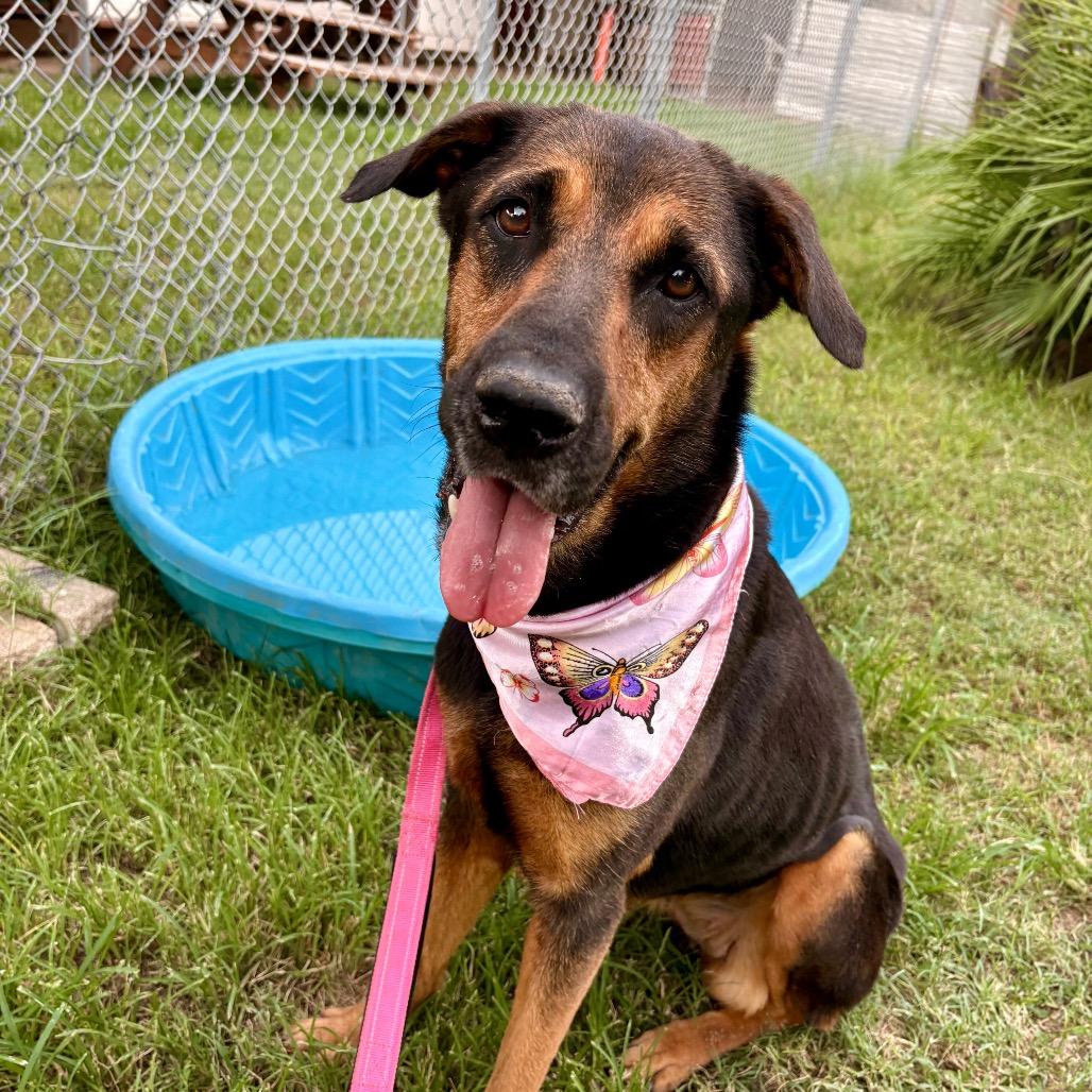 Funshine Bear thumbnail 4