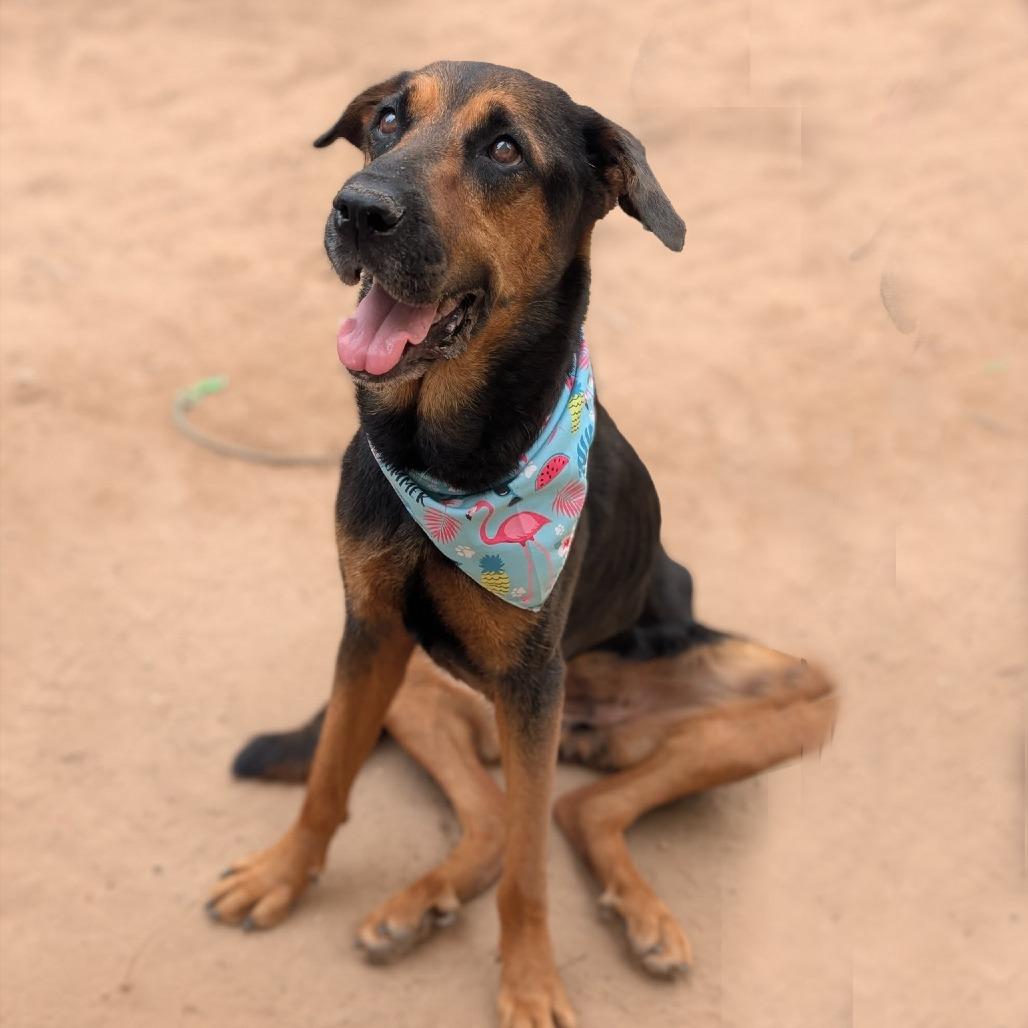 Funshine Bear thumbnail 5