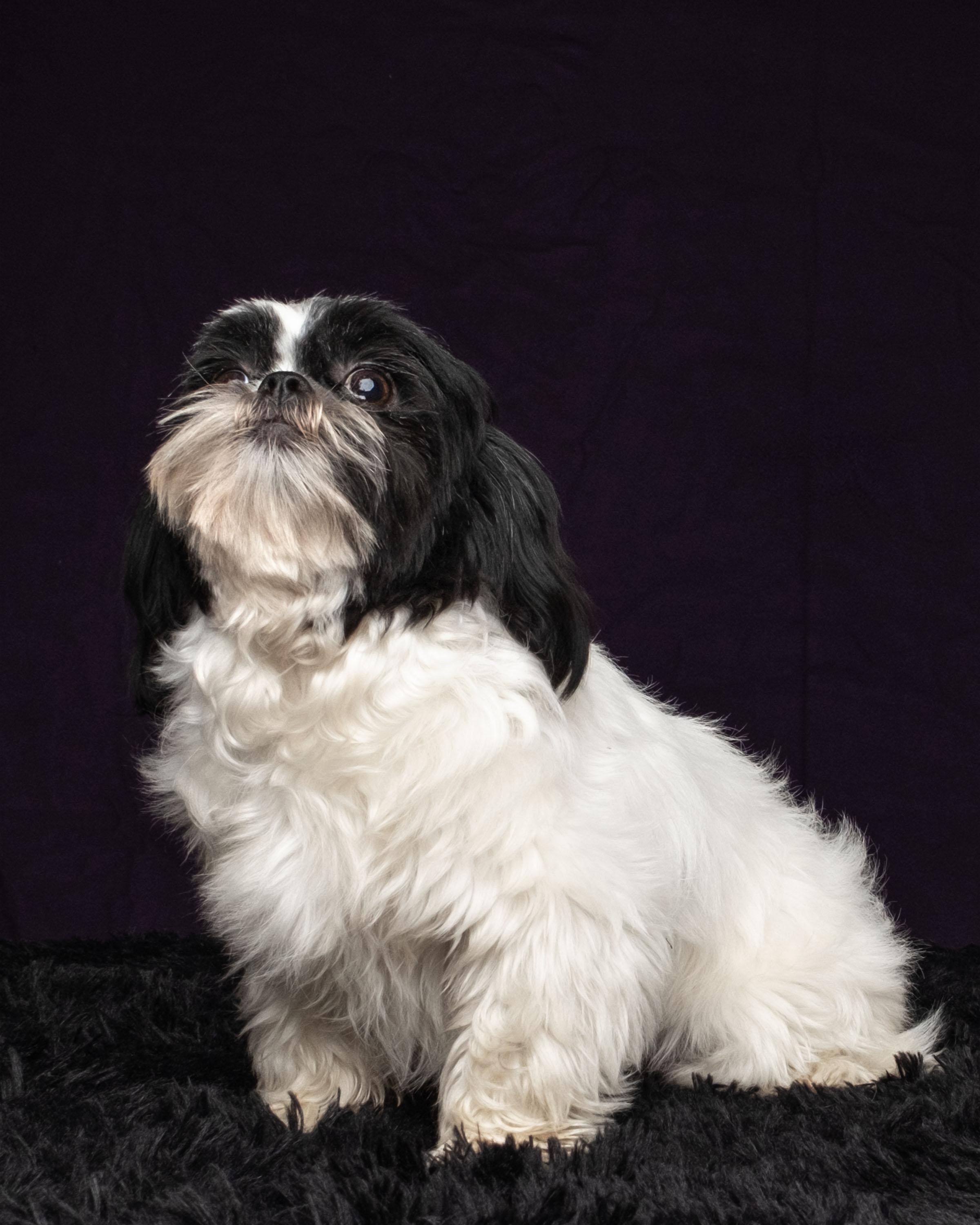Oreo