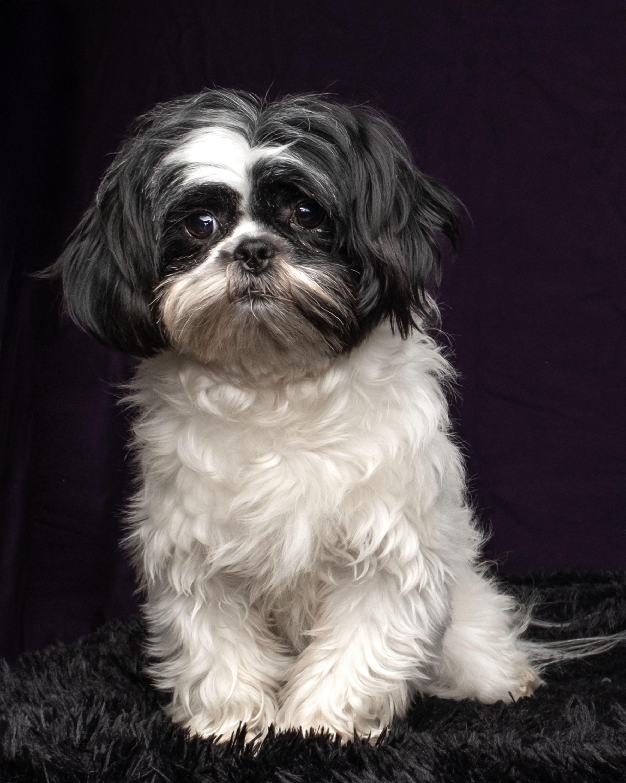 Oreo