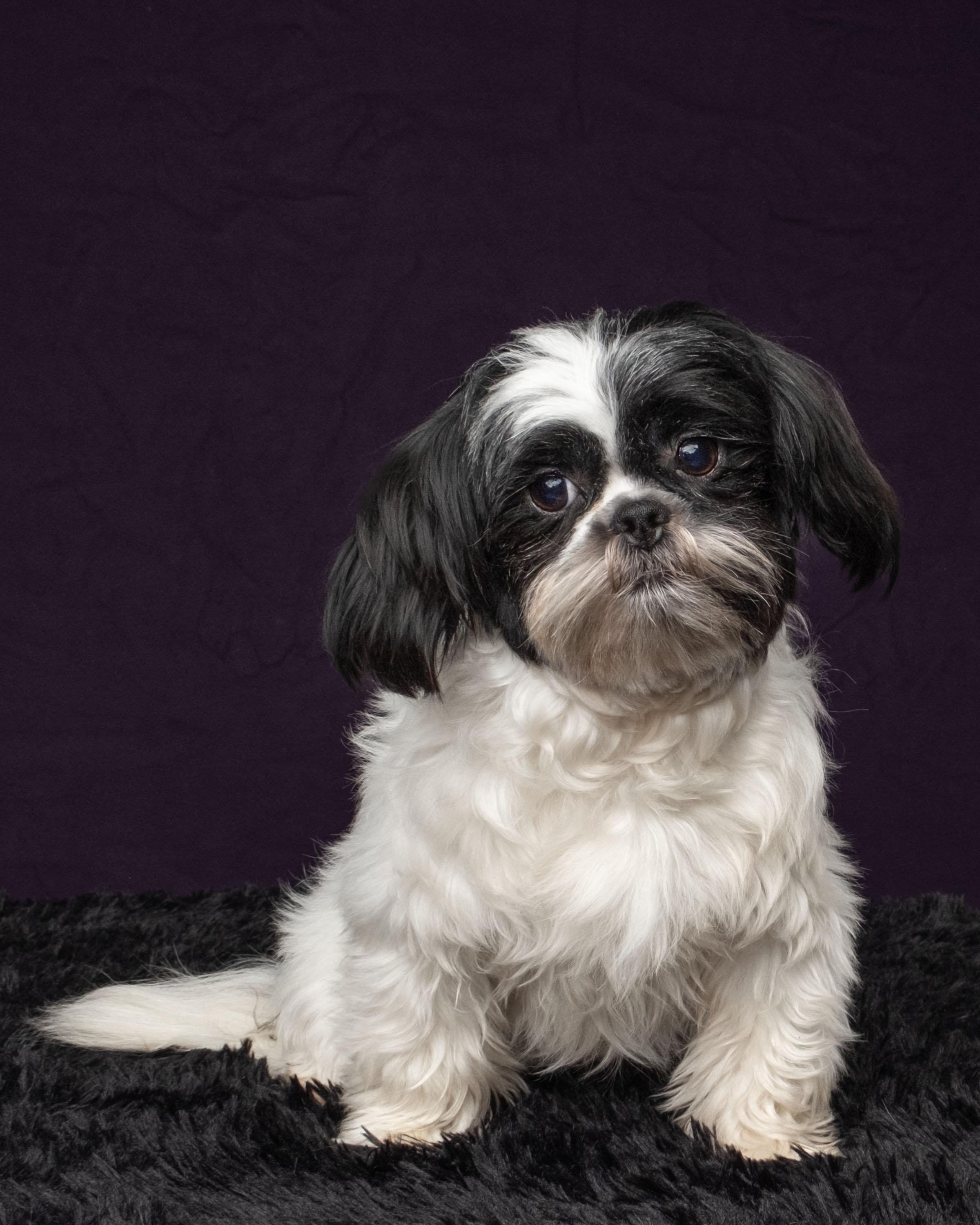 Oreo