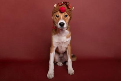 Marvin Martian thumbnail 2