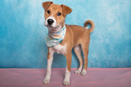 Marvin Martian thumbnail 3