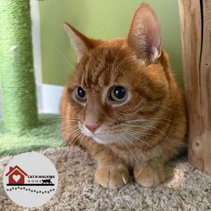 Colby — thumbnail 3