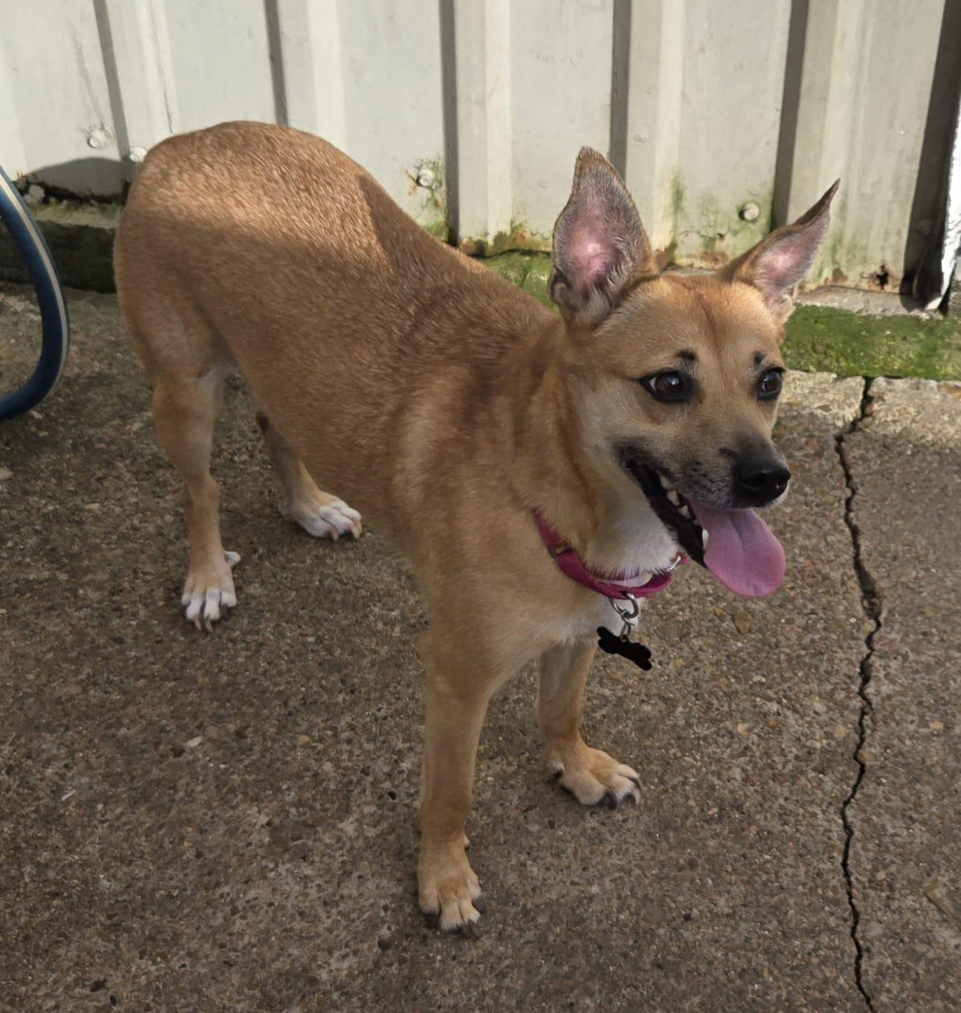 Lucy photo 5