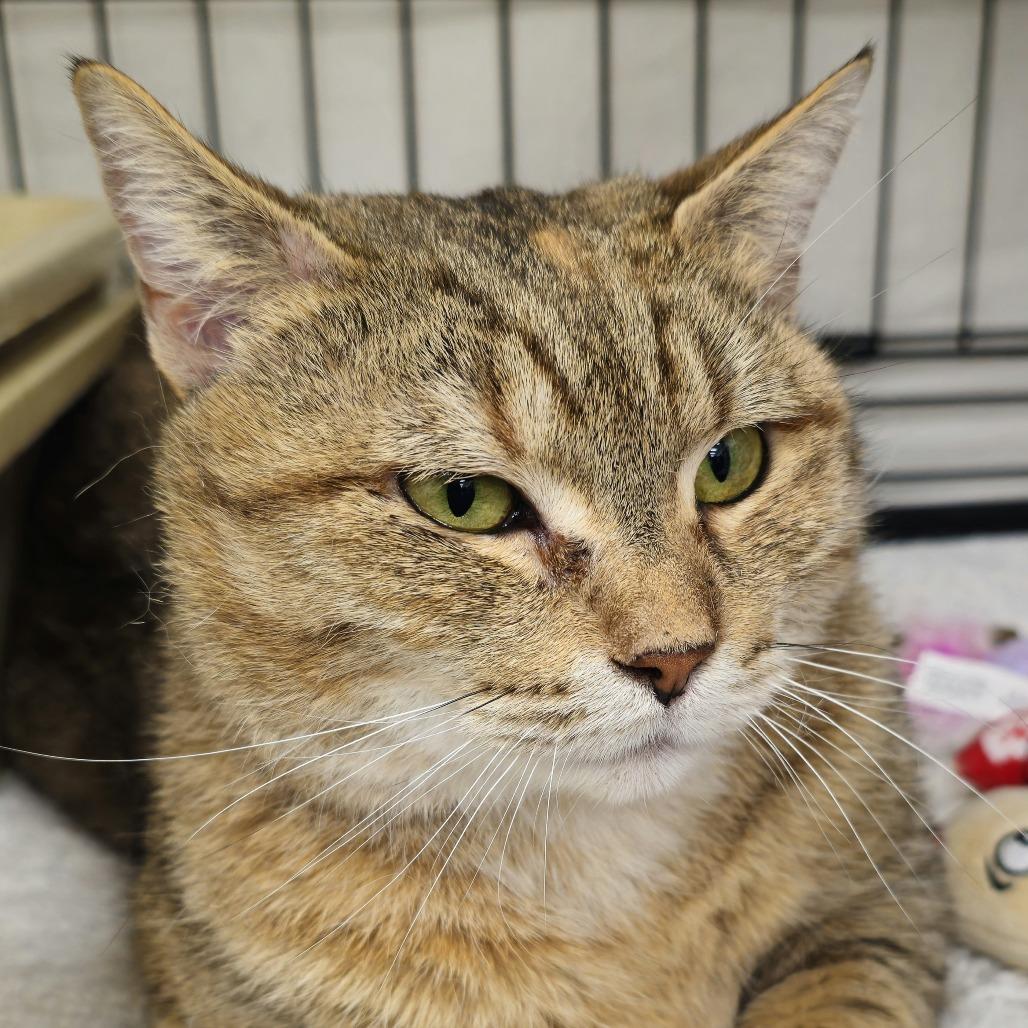 Lyla — thumbnail 2