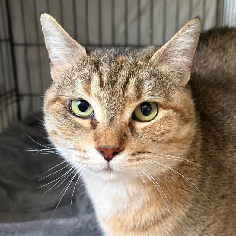 Lyla — thumbnail 3