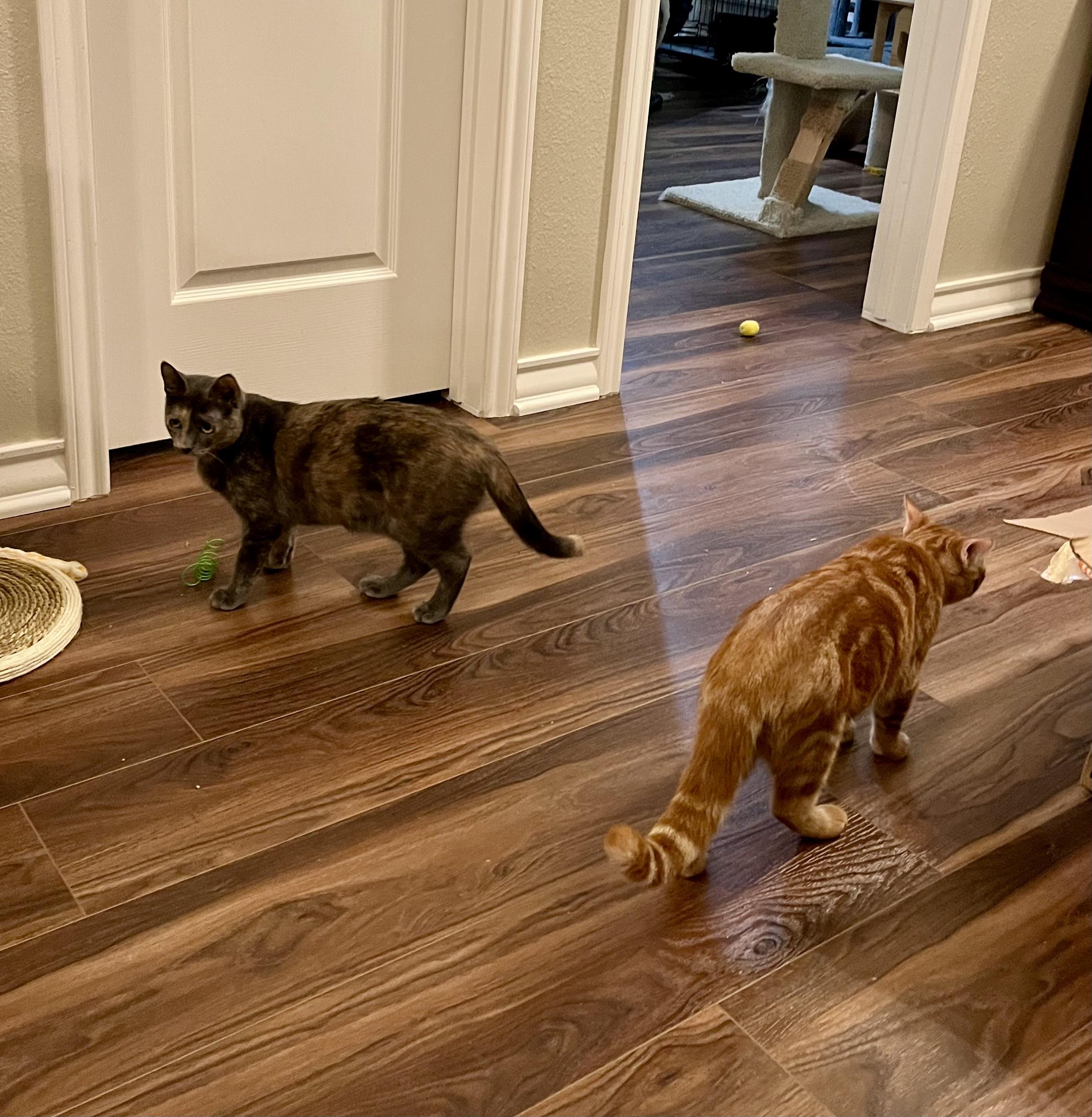 Rusty Cr thumbnail 2