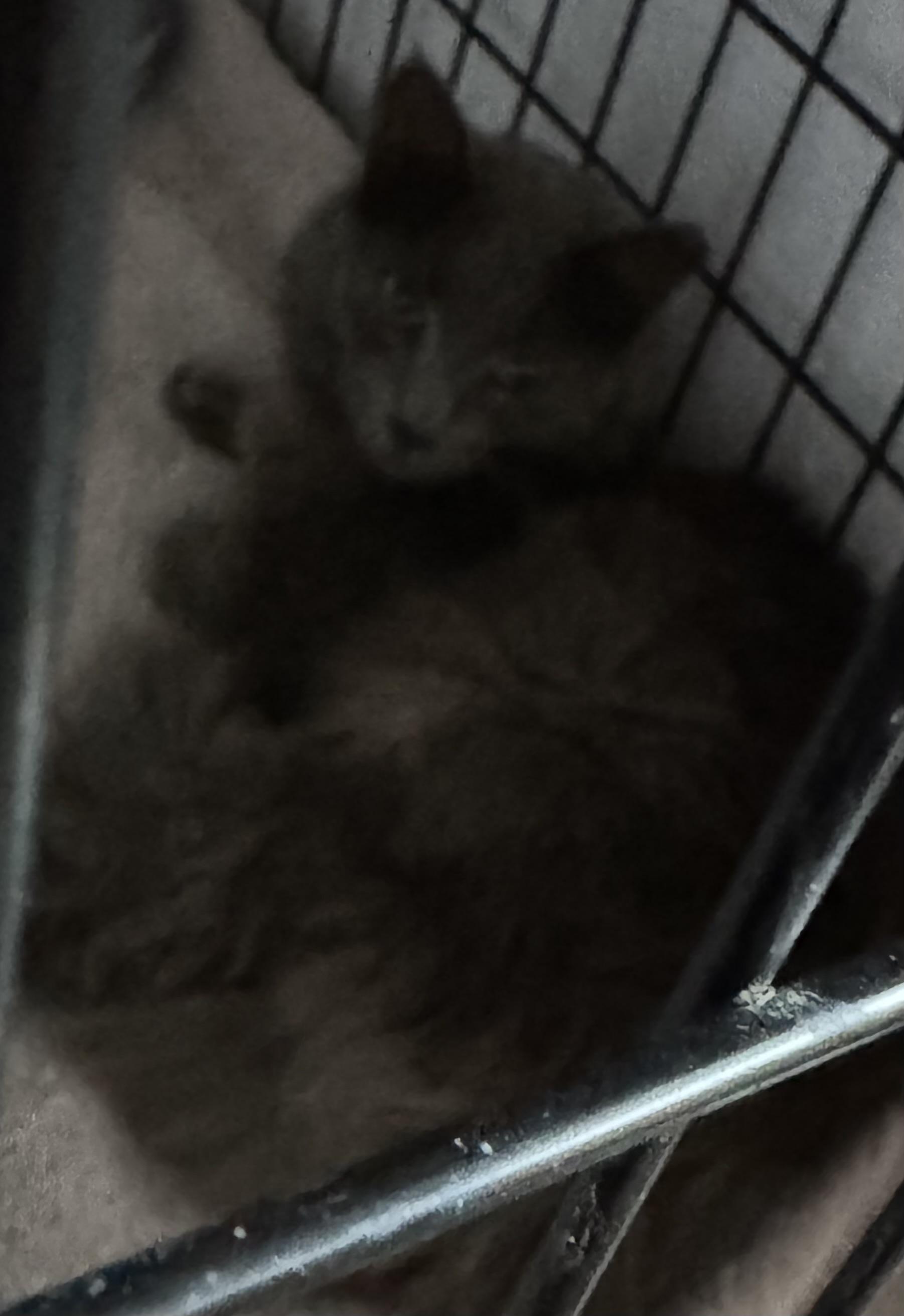 Sunni photo 1