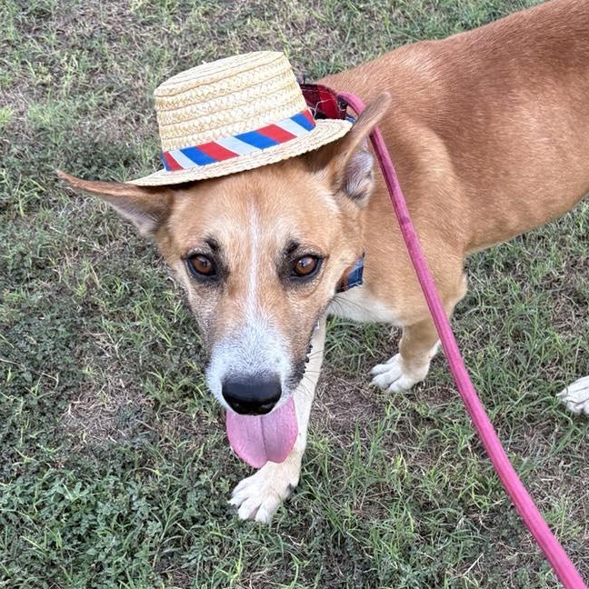 Flako — thumbnail 3