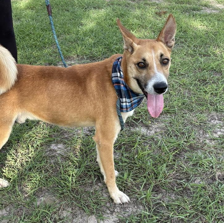 Flako — thumbnail 5