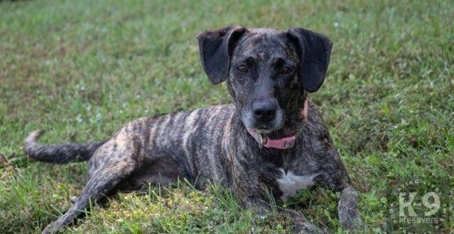 Maribelle thumbnail 2