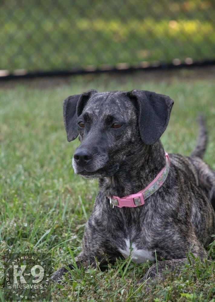 Maribelle thumbnail 4