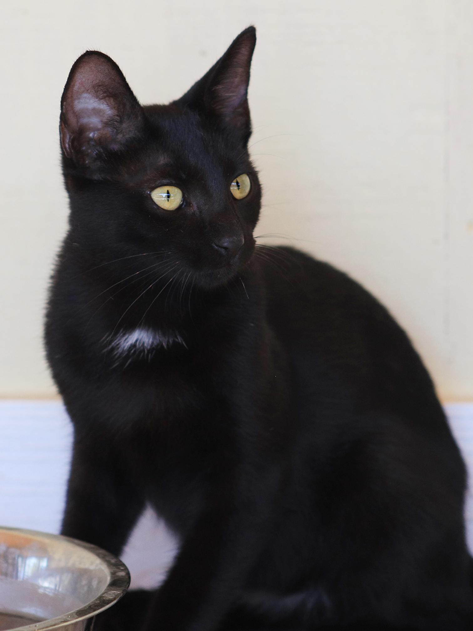 May, Young Female unknown