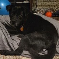 Bonnie photo 4
