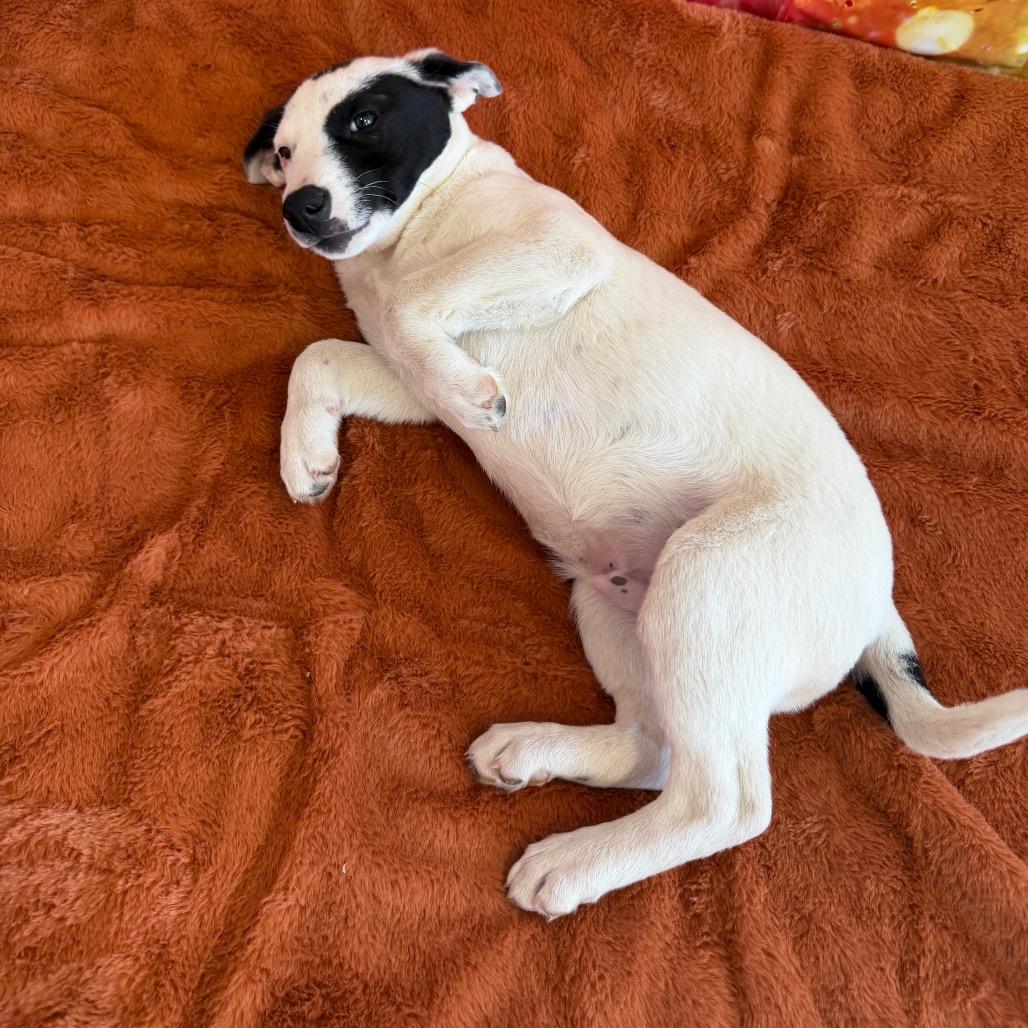 Phil — thumbnail 2